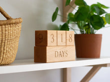 Load image into Gallery viewer, Modern Wooden Milestone Blocks