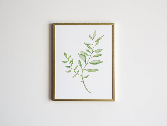 Watercolor Botanical Plant Print