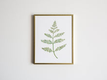 Load image into Gallery viewer, Watercolor Fern Botanical Plant Print
