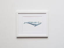 Load image into Gallery viewer, Gray Whale Watercolor Illustration Print
