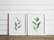 Load image into Gallery viewer, Watercolor Botanicals Set of Two Willow Prints
