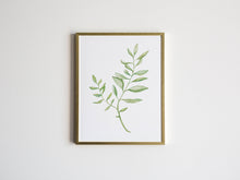 Load image into Gallery viewer, Watercolor Botanical Plant Print